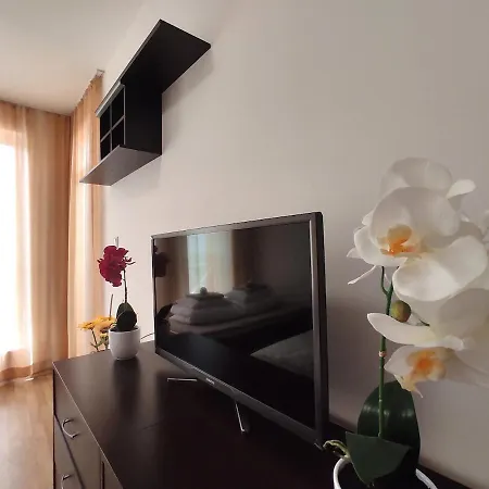 Chocolate On Sunny Day 6 Complex