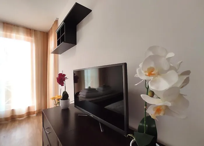 Chocolate On Sunny Day 6 Complex